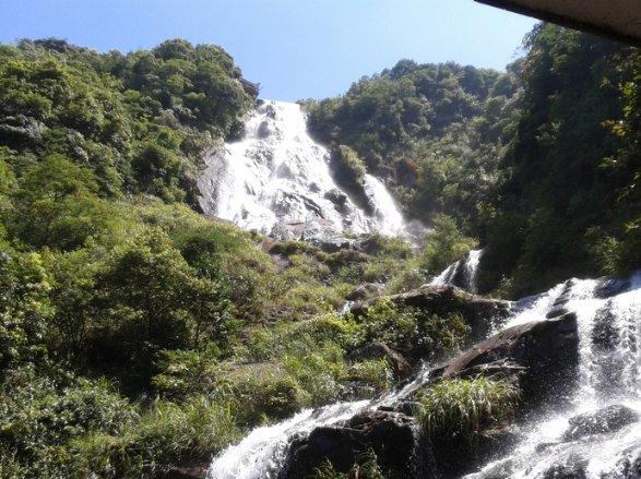 春节前夕，酒市热度、酒商态度如何？五大核心市场调研来了